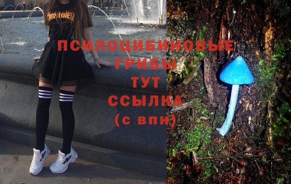 молекула духа Волосово