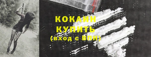 молекула духа Волосово