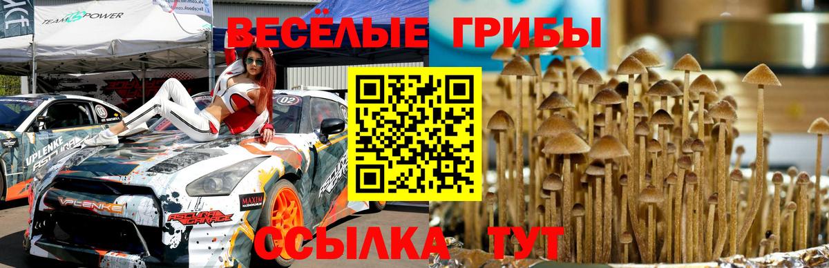 Псилоцибиновые грибы прущие грибы Кумертау