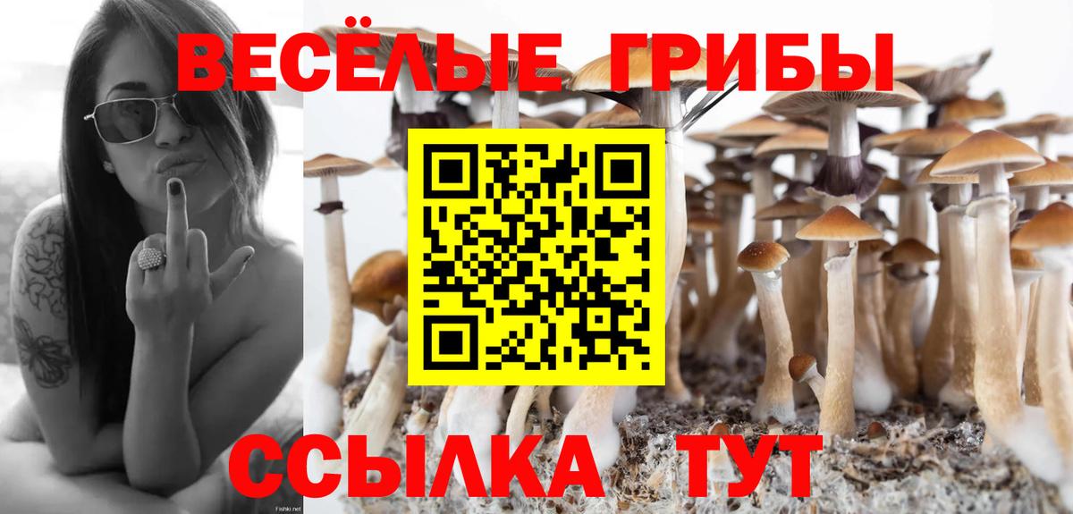 Кумертау  Псилоцибиновые грибы Psilocybine cubensis  Вход с VPN 